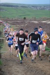 Click on thumbnail for larger photo